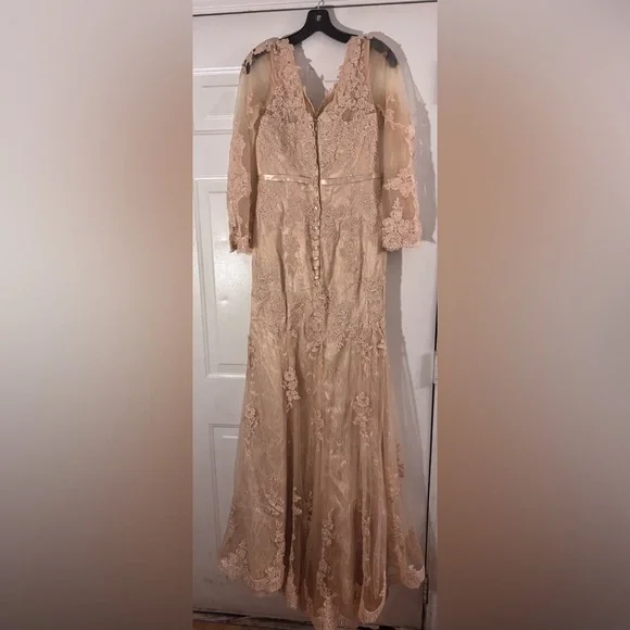 New Chiffon and Lace Evening Gown - Picture 7 of 11